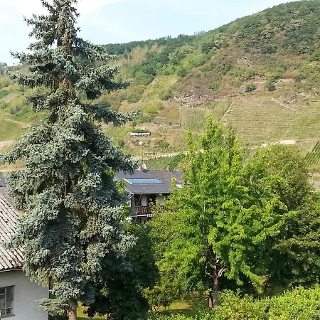 Apartment In With Balcony *